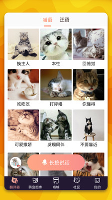 猫语翻译器截图(4)
