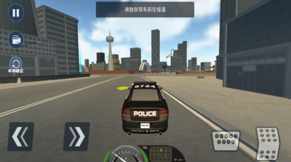 欧洲警车驾驶模拟截图(1)