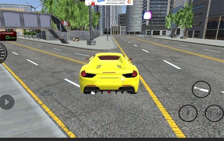 卡洛斯大城市模拟汽车截图(1)